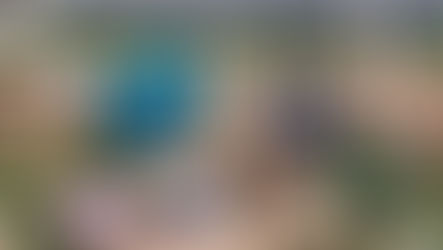 My 10 Favourite Gardening Tools From Amazon