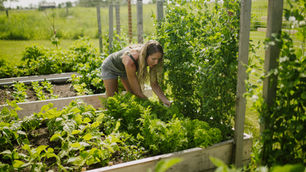 6 Things to Consider When Planning a Vegetable Garden From Scratch