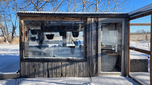 A Guide to Growing Cold Hardy Plants Under Cover - Unheated Greenhouse Growing