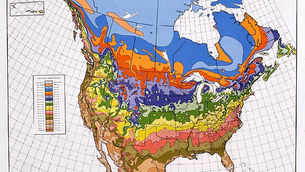 What Are Plant Zones Anyway?