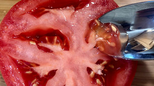 A Beginner's Guide to Saving Seeds