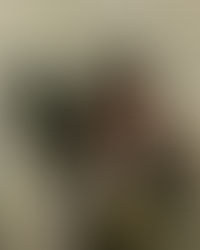 191202