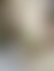 190831
