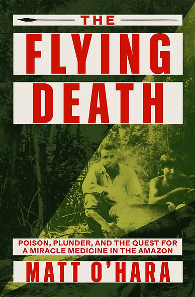 Flying Death cover.jpg