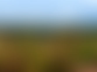 The Art of Kosher Winemaking at Viña Memorias