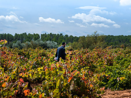 The Art of Kosher Winemaking at Viña Memorias