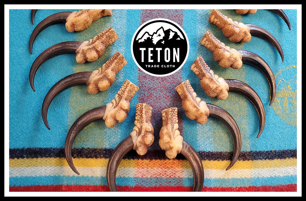 Thumbnail: Replica Eagle Claw Necklace Set