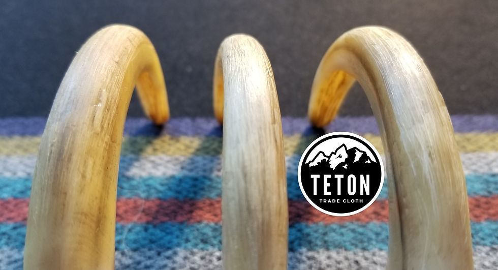 Thumbnail: Replica, graduated grizzly bear claws