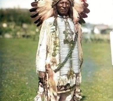 Hawk Bell Bandolier