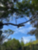 670037F3-E774-4F1F-A77C-DF97F65D2588.jpeg
