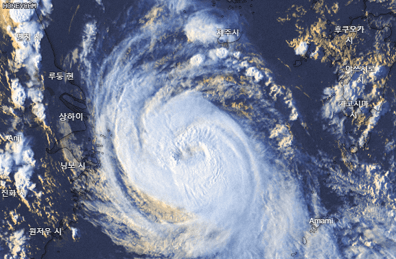 1742505b654135a47.gif