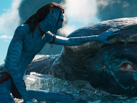 2022 In Film: The Year In Review