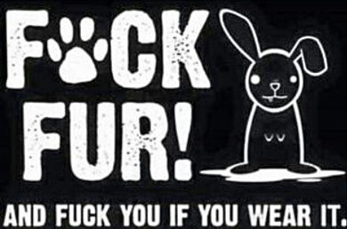 doggy petitions, petition, hunde, dogs, fur, pelz, fourrure, pelaje, pelliccia, petición, pétition, petizione, ходатайство,