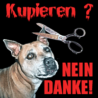 doggy petitions, petition, hunde, dogs, animal welfare, tierschutz, tierschutzgesetz, legislation, animal abuse, tierquälerei, petición, pétition, petizione, ходатайство,