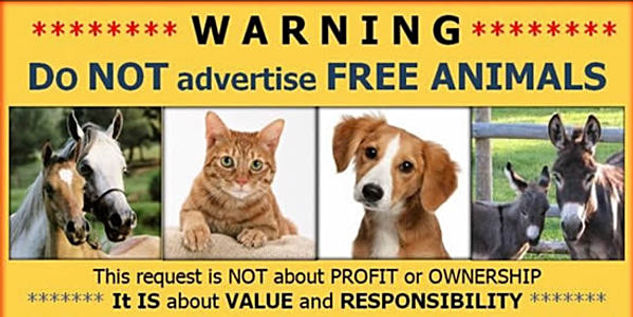 doggy petitions, petition, hunde, dogs, craigslist, online sale, dog for free, puppy, animal abuse, petición, pétition, petizione, ходатайство,