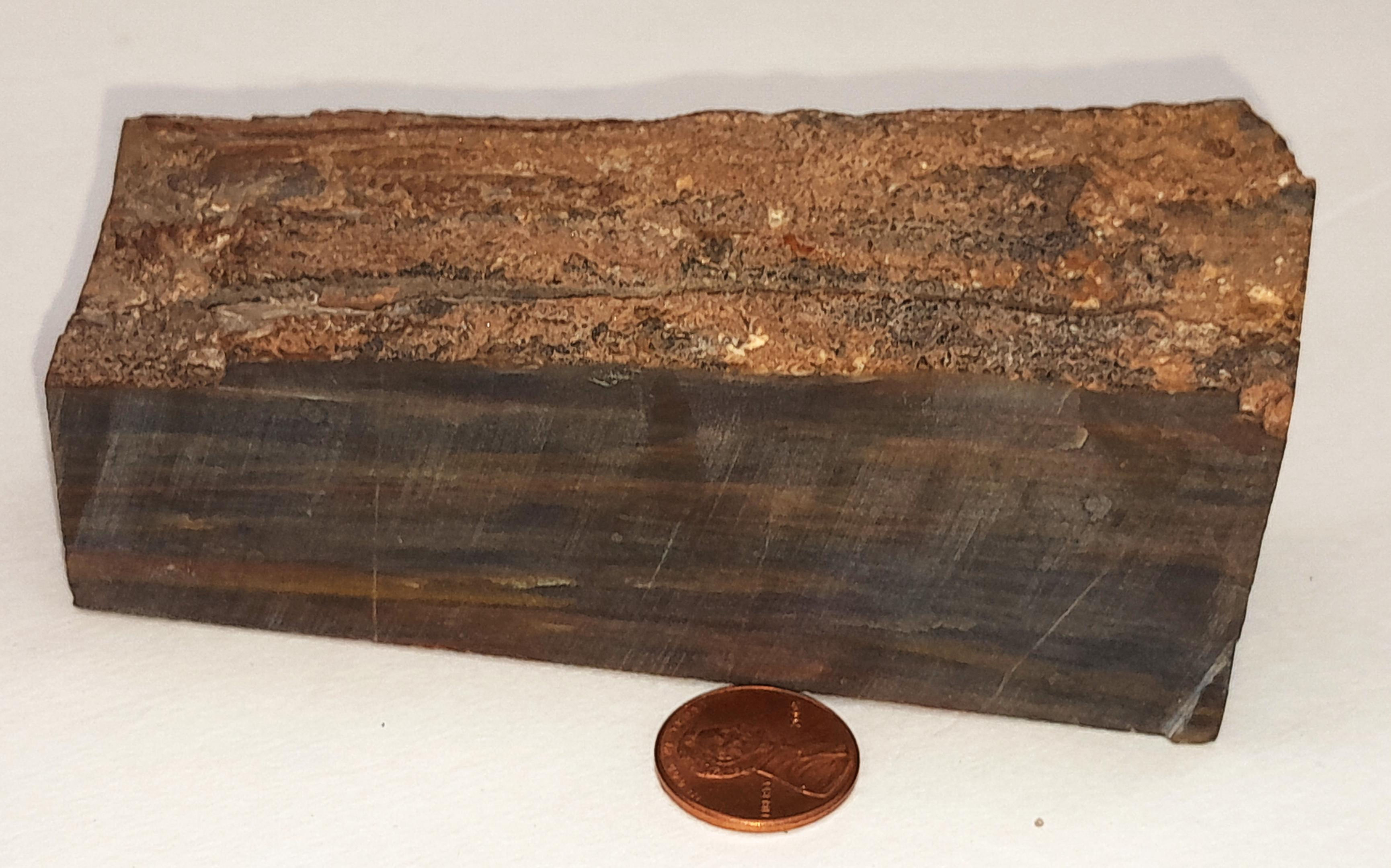 Petrified Wood natural stone