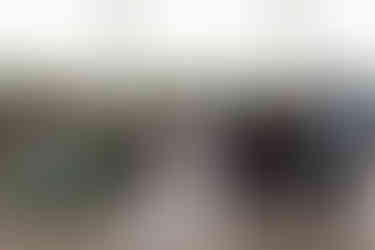 Huntsville wedding photographer, Huntsville Alabama wedding, Huntsville Botanical Garden, summer wedding, class wedding style