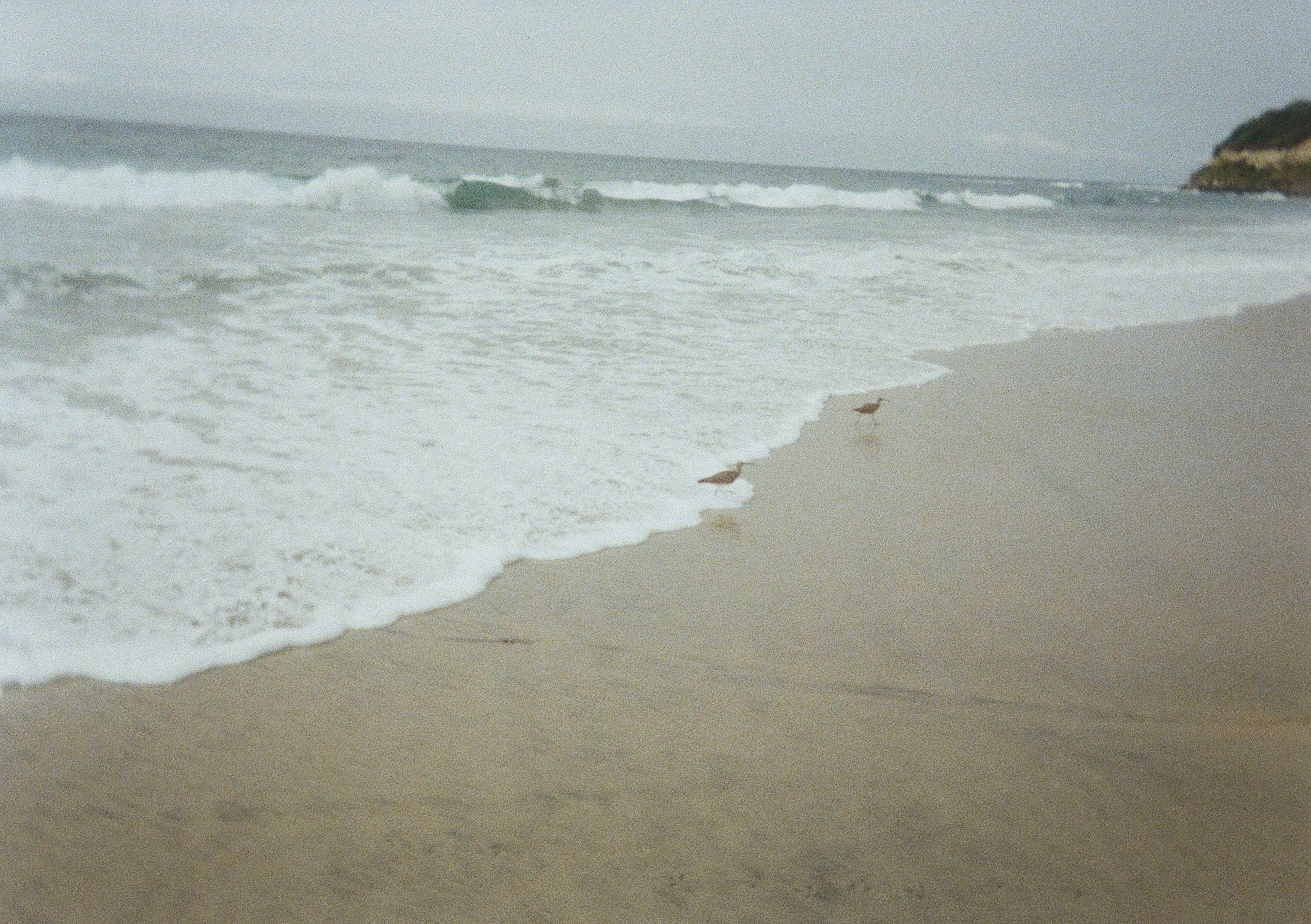 travel elopement photographers San Diego elopement