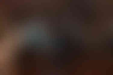 Huntsville wedding photographer, Huntsville Alabama wedding, Huntsville Botanical Garden, summer wedding, class wedding style