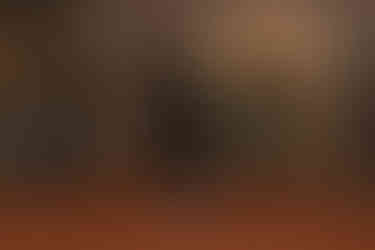 Huntsville wedding photographer, Huntsville Alabama wedding, Huntsville Botanical Garden, summer wedding, class wedding style