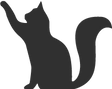Chat-patte-en-l'air.png