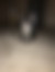 ücretsiz kedi sahiplendirme ilanları arasında üçüncü sıradaki ikon