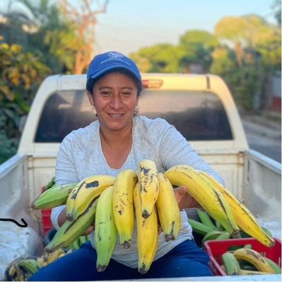 Strengthening Farm Management with LiteFarm