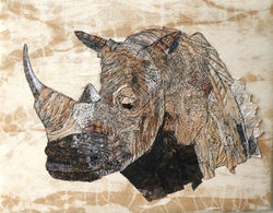 rhino 12