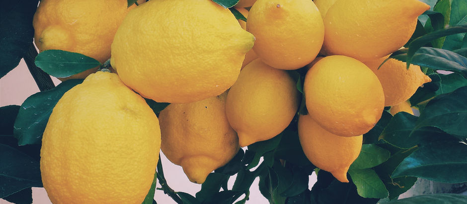 CITRUS - LEMON, LIME, ORANGE, MANDARIN, GRAPEFRUIT