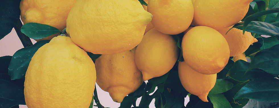 Lemon Tree