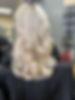 Portfolio_1_total blond.HEIC
