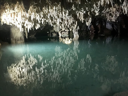 Cenote et stalagtite Mexique