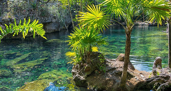 Cenote Riviera Maya au Mexique