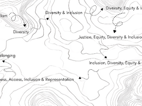DEI Is a Risk Management Strategy — And Refusing It Is Riskier Than You Think