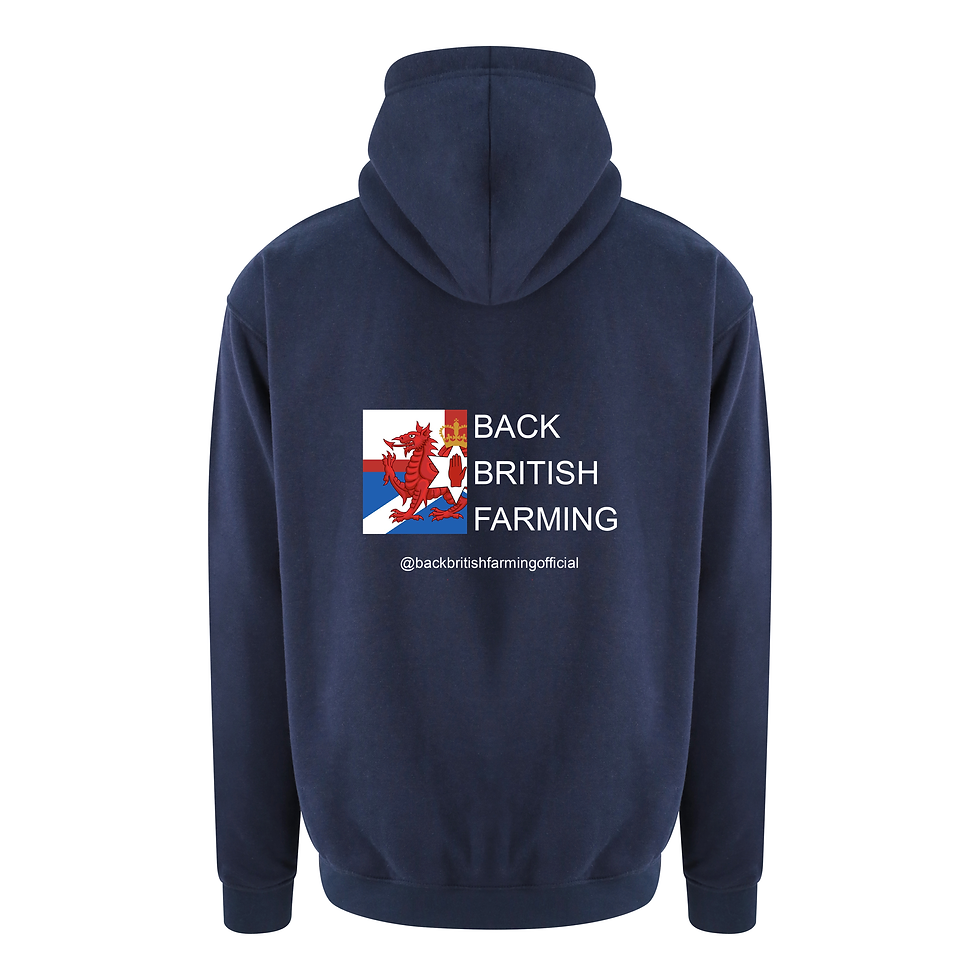 BBF UNITED NATIONS FLAG - Pro Hoodie
