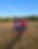 IMG_1958.PNG