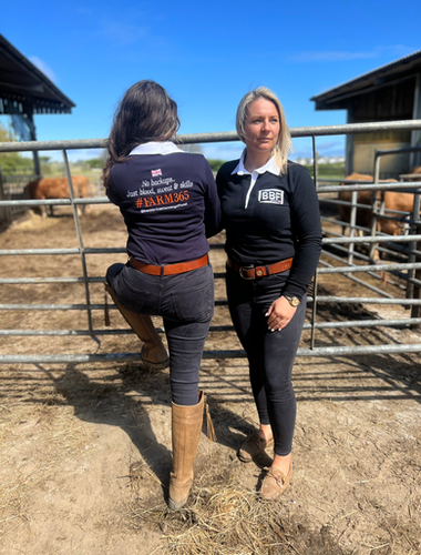 Ladies fitted rugby top (recommended you go up a size) | Back