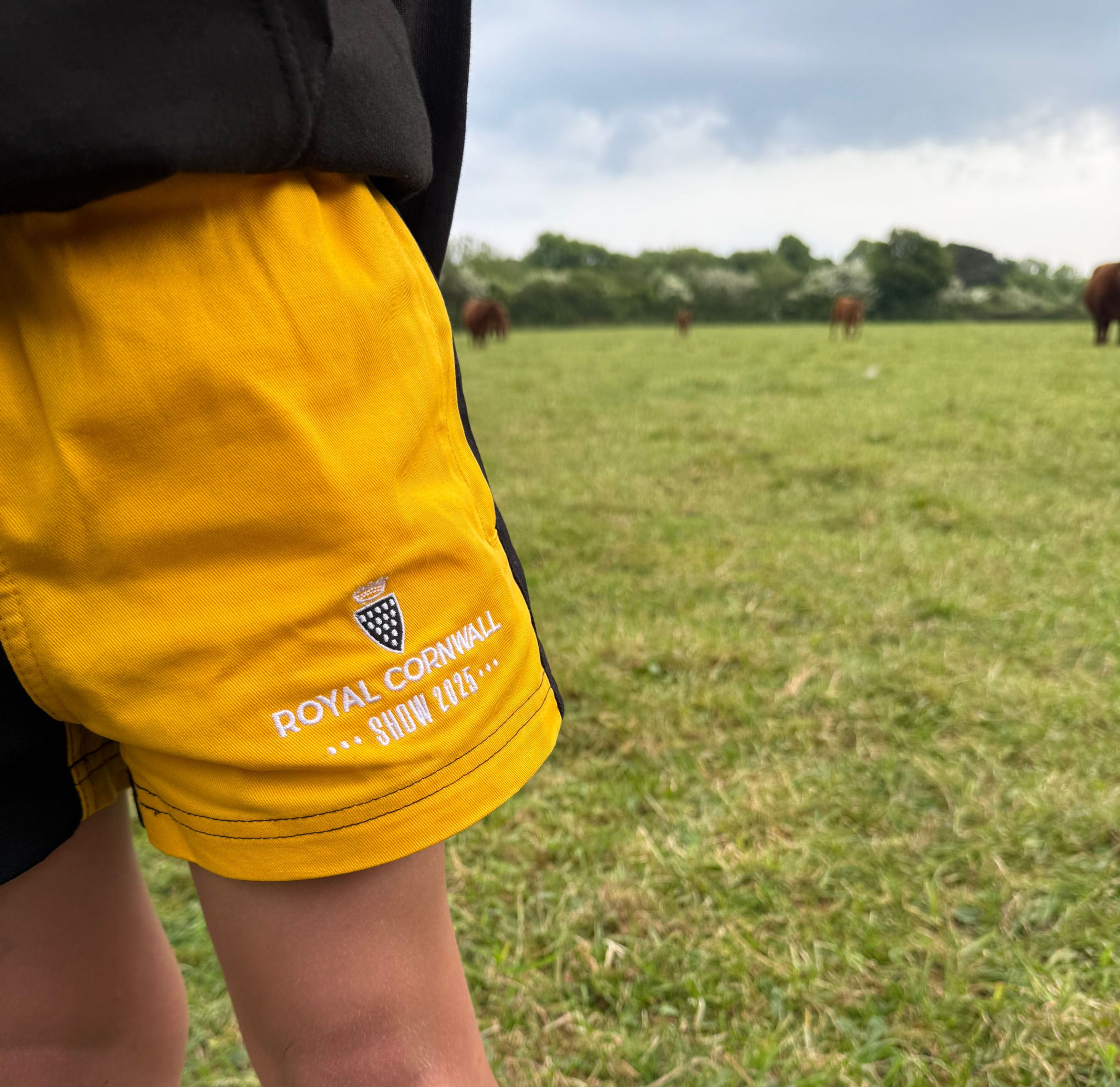 BBF x RCS Children's BBF Contrast Shorts