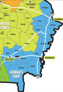 Coastal Ga map