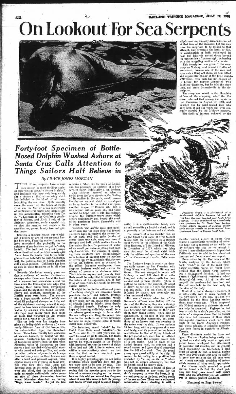 Picture of sea serpent on beach