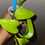 Miniatura: Epipremnum Aureum 'Teruno Carnival'
