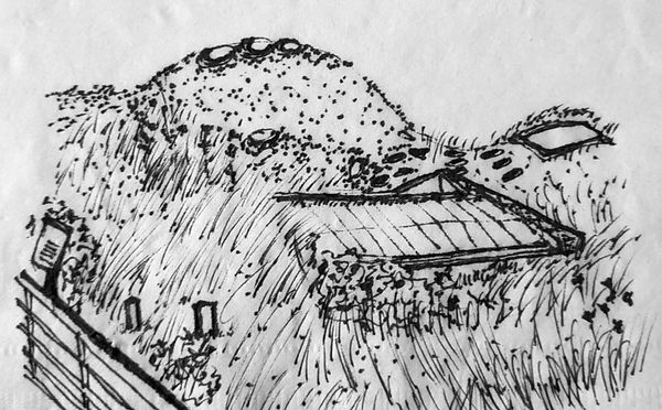 Napkin Sketch California Academy of Science 01_Cover.jpg