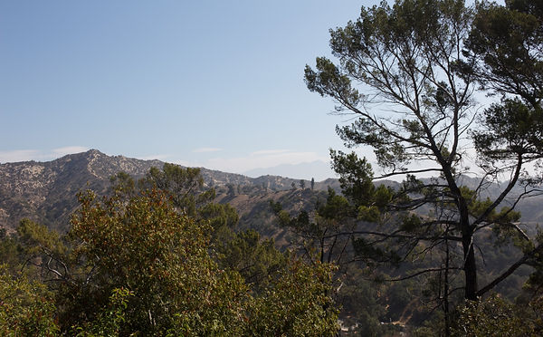 Mountain Side_Storage_Site Photo.jpg