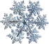 snow flake IMG_2878.PNG
