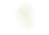 Kuschelmuschel_4.png