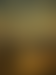 Day 28 of Poetry Month...