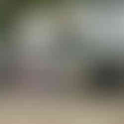 Nova Lines: 2021 CCJ Flashiest Fleet Contest - 3rd Place Winner