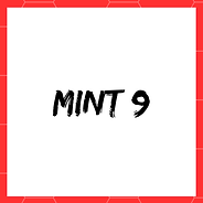GEM MINT 10 (1).png