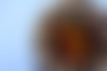 Peanut Butter & Chocolate Cake