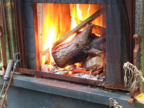 Walk Softly – Why are forest fires so stinky?